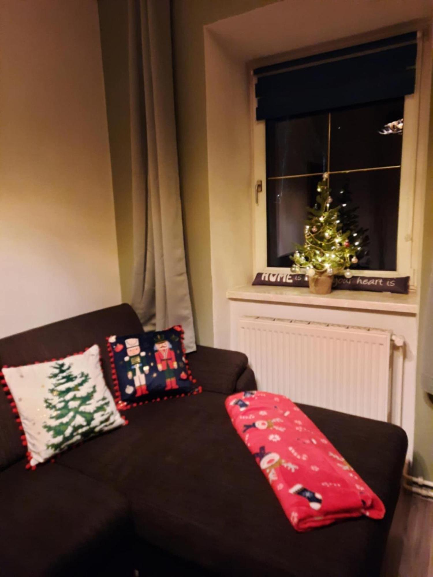 Ausseerland Apartments - Relax, Ski, Hike And Bike, Garden, Parking, Bbq, Near Hallstatt, Loser, Tauplitz And Krippenstein, Free Wi-Fi And Netflix Bad Aussee Pokoj fotografie