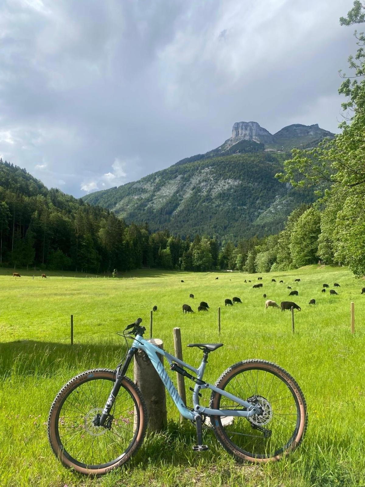 Ausseerland Apartments - Relax, Ski, Hike And Bike, Garden, Parking, Bbq, Near Hallstatt, Loser, Tauplitz And Krippenstein, Free Wi-Fi And Netflix Bad Aussee Exteriér fotografie