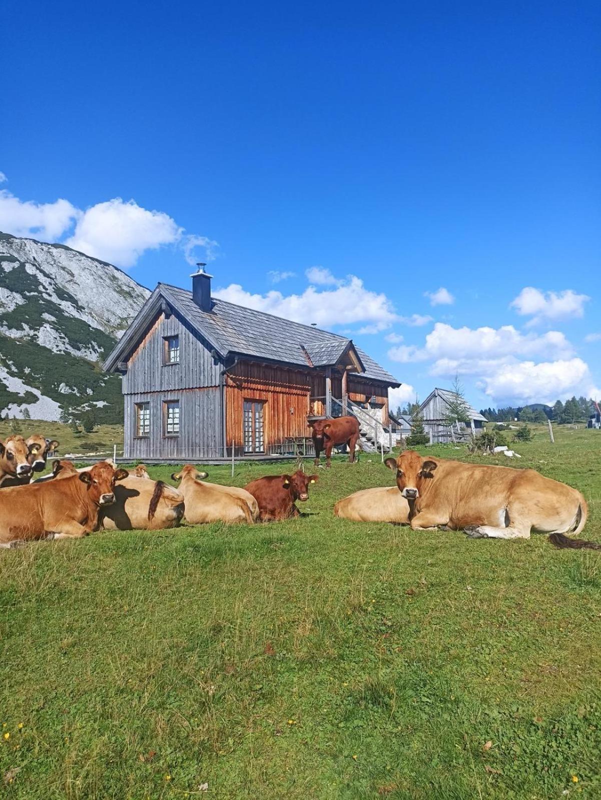 Ausseerland Apartments - Relax, Ski, Hike And Bike, Garden, Parking, Bbq, Near Hallstatt, Loser, Tauplitz And Krippenstein, Free Wi-Fi And Netflix Bad Aussee Exteriér fotografie