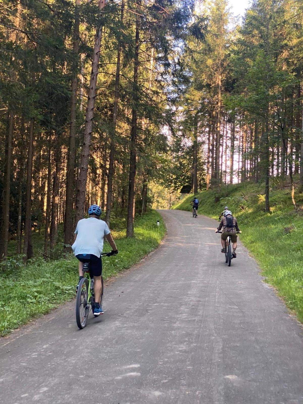 Ausseerland Apartments - Relax, Ski, Hike And Bike, Garden, Parking, Bbq, Near Hallstatt, Loser, Tauplitz And Krippenstein, Free Wi-Fi And Netflix Bad Aussee Exteriér fotografie