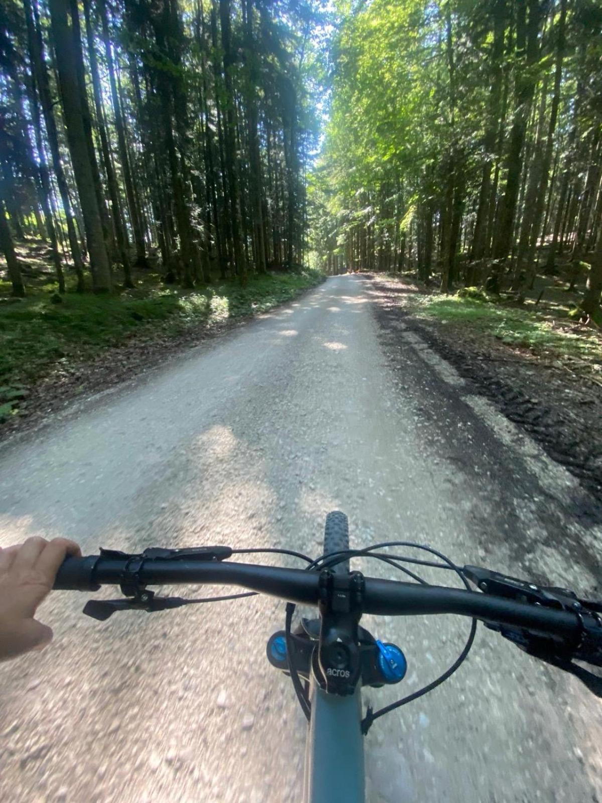 Ausseerland Apartments - Relax, Ski, Hike And Bike, Garden, Parking, Bbq, Near Hallstatt, Loser, Tauplitz And Krippenstein, Free Wi-Fi And Netflix Bad Aussee Exteriér fotografie
